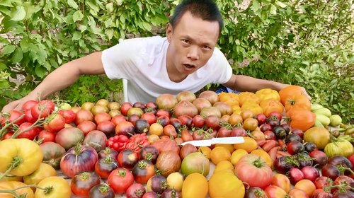 【盲袋】老品种番茄种子约30粒 可以自留种 荒野拾遗录满29包邮