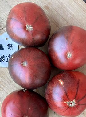 艾琳娜紫水晶之心 花青素大果番茄品种 庭院露台种植