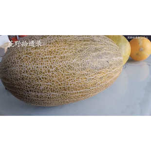 其甘吐木修克阿合奇 甜瓜种子10粒 老品种 全店满29包邮