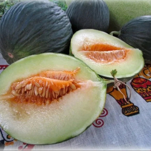 意大利传家宝蜜瓜种子，瓦伦西亚甜瓜种籽3粒（耐保存）