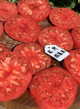 朗斯5粒（荒野拾遗录）满29包邮