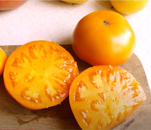 【矮化型】炙热美人番茄种子3粒紧凑强壮高抗庭院盆栽园艺露台