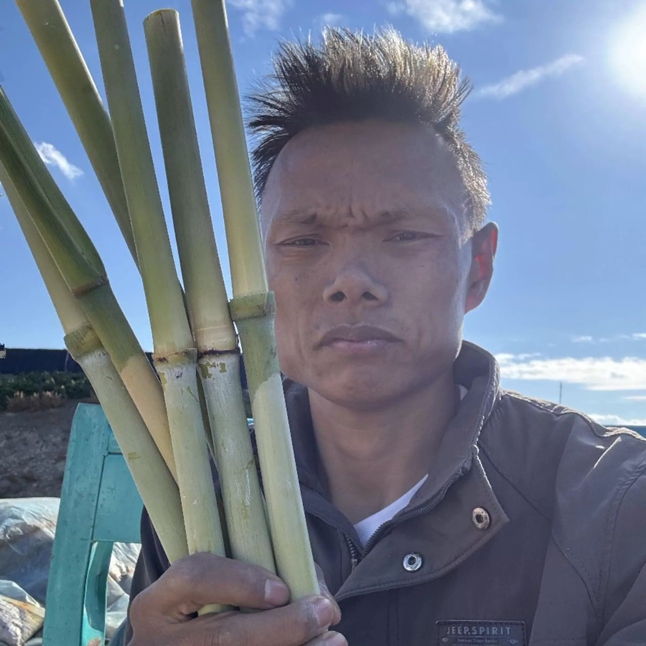 新疆农家自种阳台盆栽