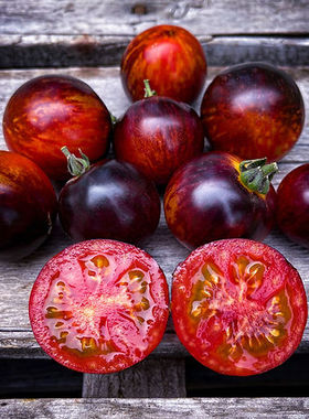 dwarf 矮化型 条纹花青素3粒 适合盆栽阳台露台家庭园艺