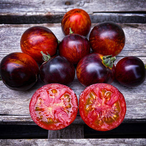 dwarf 矮化型 条纹花青素3粒 适合盆栽阳台露台家庭园艺