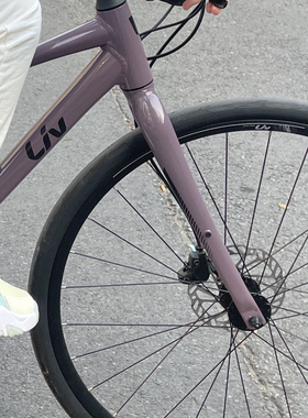 捷安特丽以芙紫灰色补漆笔划痕修复TCR-ADV3灰蓝山地车漆