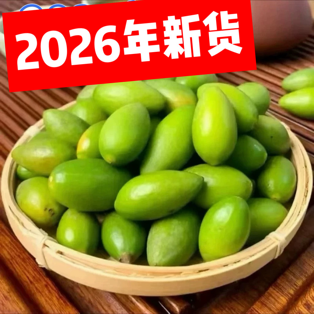 福建橄榄原味橄榄现摘青橄榄产地直发橄榄煲汤生吃