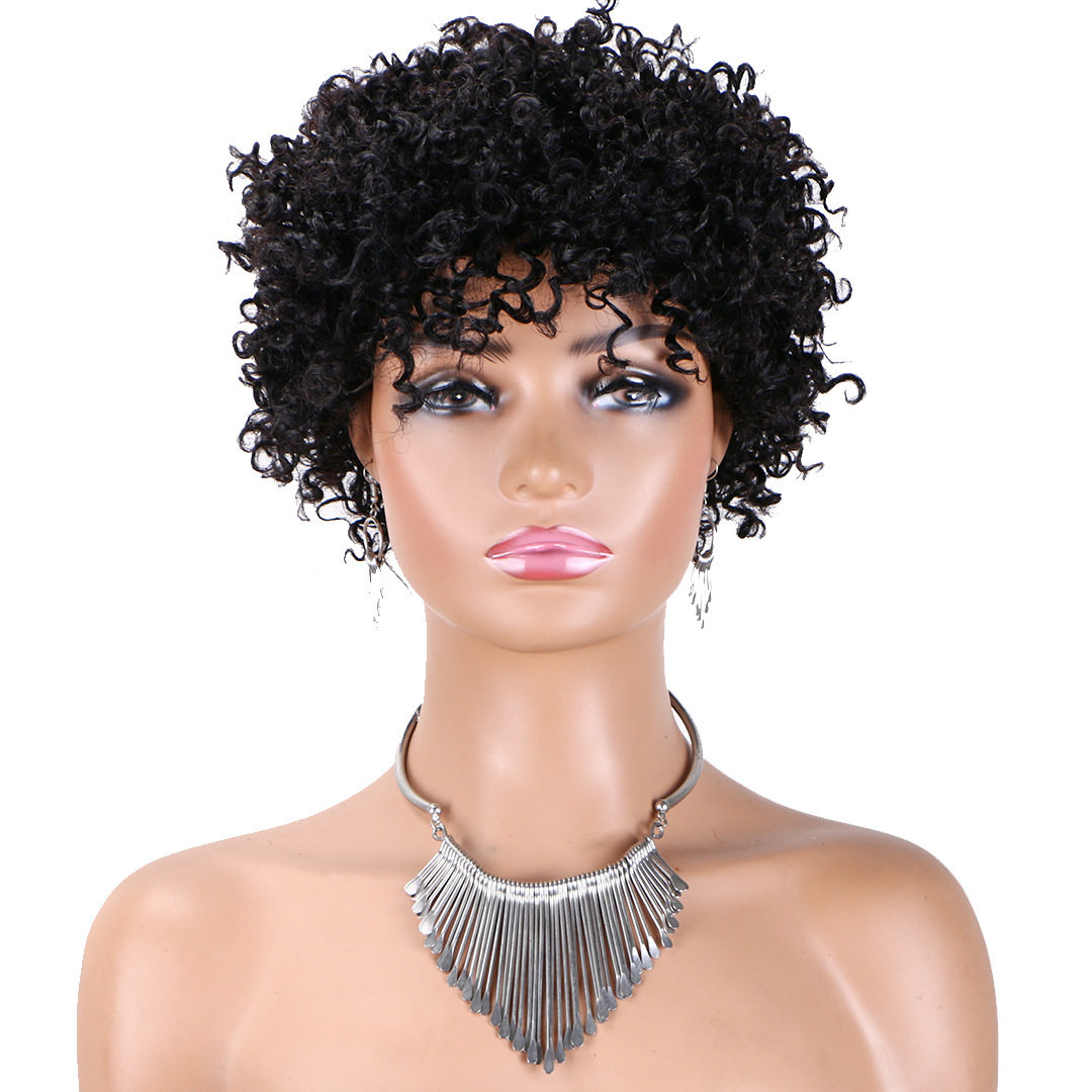 Kinky Curly Human Hair Wigs For Black Women Short Pixie Wig