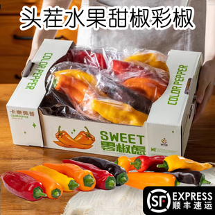 卡乐佩普彩椒甜椒可生吃不辣樂五彩黄红色新鲜蔬菜顺丰山巴莱姆腚