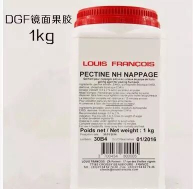 法国进口 DGF迪吉福镜面果胶粉100g NH果胶 复配增稠 烘焙原料