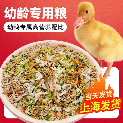 柯尔鸭粮科尔鸭粮食小鸭子饲料