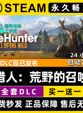 【猎人：荒野的召唤】Steam游戏正版CDKEY全DLC兑换码激活码入库