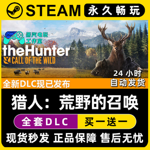 【猎人：荒野的召唤】Steam游戏正版CDKEY全DLC兑换码激活码入库