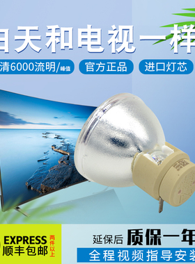 Optoma奥图码HD200X/HD200D/HD20LV/HD260S/HD3300/HD300X投影机仪灯泡