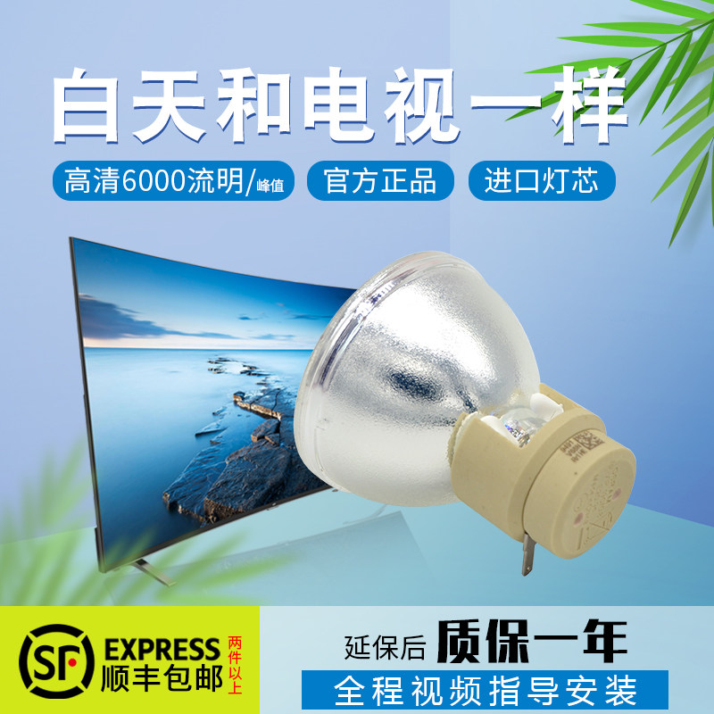 Optoma奥图码X315/EX556/DT3407/D744/OES991/W300投影机仪灯泡