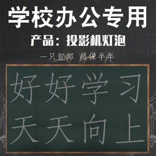 V230 NEC 投影机灯泡 投影仪灯泡NP13LP V260