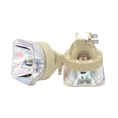 适用丽讯DH977WT投影机灯泡全新