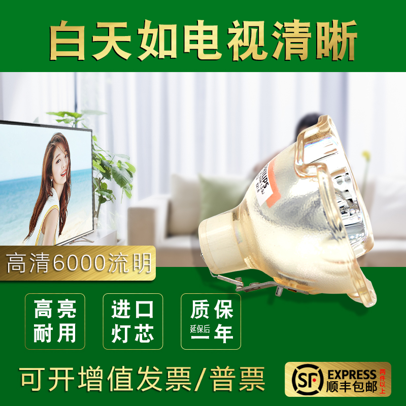 进口灯芯 6000流明 质保半年 教学视频安装