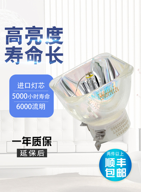 ACTO雅图LX650/LX655W/LX653W/LX643W/LX660W/LX600/LX665W/LX227/LX239/LX236ST/DX120/LW215ST投影机仪灯泡