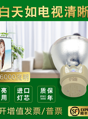 Optoma奥图码ES551/ES550T/EX550ST/EX551/EW533ST/DM13投影机仪灯泡