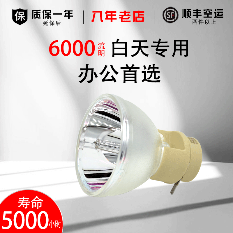 进口灯芯 6000流明 质保半年 教学视频安装