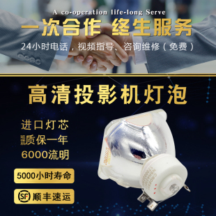 NP310 NP400C NP410 NP630C NP610S NP510C NP500W NEC日电NP07LP S投影机仪灯泡 NP600G NP630WS NP300C