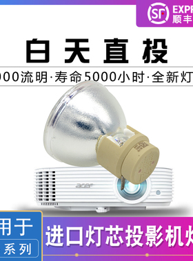 ViewSonic优派Pro8200/Pro8300/PJD6241/PJD6381/PJD6531W/PJD6382/VS12585/RLC-049/RLC-061投影机仪灯泡