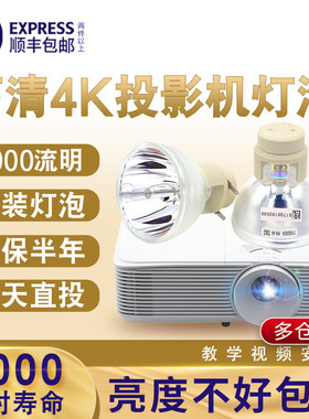 奥图码投影仪灯泡X313 W316ST X315 ONX745 IS981  OSF876 OEX925