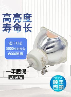 ASK S1390/S1380/S1280/S1220/S1320/S1200/S1210/S1100/S1290/S1300/A3280/C1500/C2225/C1420投影机仪灯泡