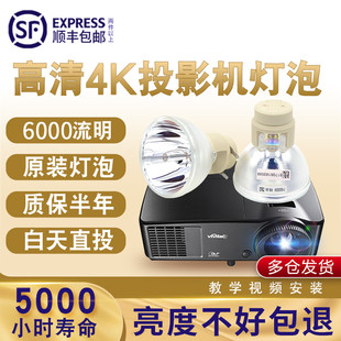 D5010 D5390HD D5110W D5011 D8800 丽讯投影机灯泡D5290U WNL D5380U