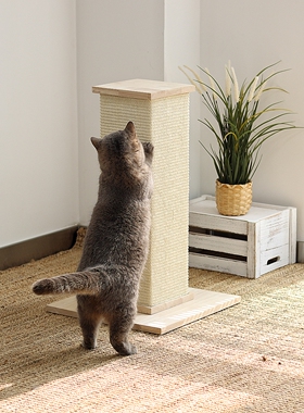 大号！罗马柱猫抓板猫树猫爬架一体立式柱不掉屑实木剑麻布猫攀爬