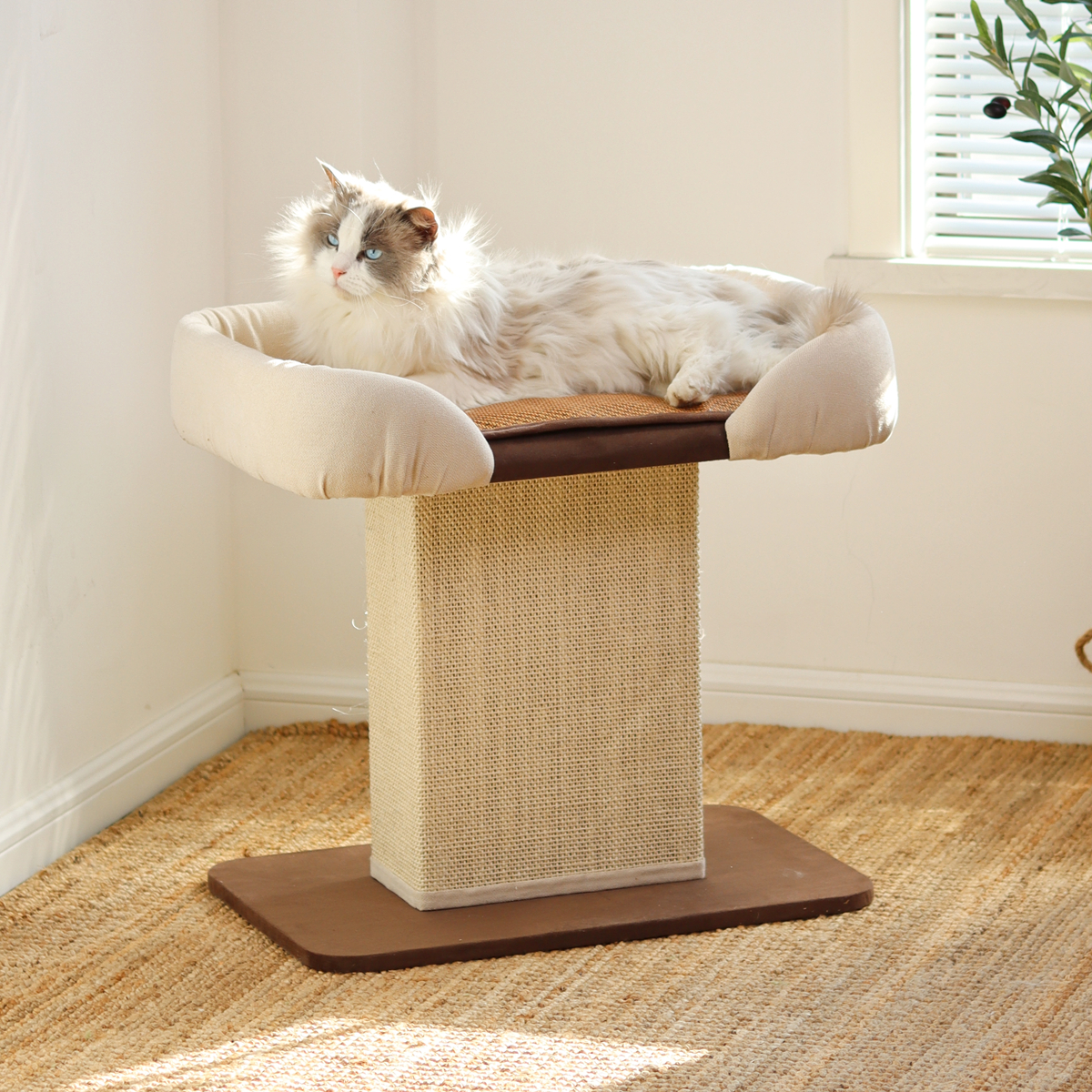 沙发床猫窝猫树爬架布偶缅因肥猫