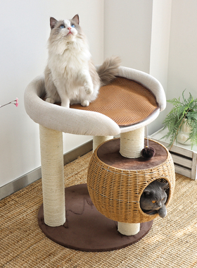 肥猫福音！网红大床猫爬架藤编猫窝猫树一体大型布偶缅因猫剑麻