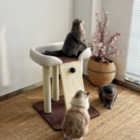 Чистая красная большая кровать кошка гнездо кошка кошачья кошка схватывает доску интегрированные мечи и конопля