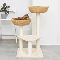 梅子猫 Шифы для кошачьего кошачьего кошачьего кошачьего кошачьего кошачья