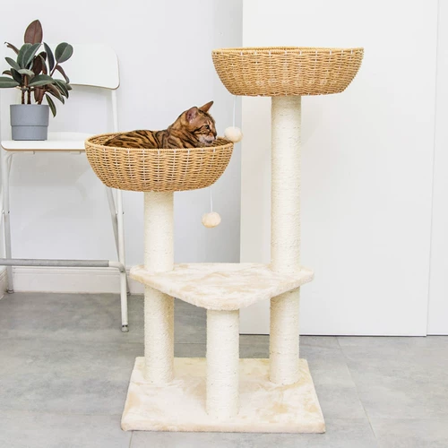 梅子猫 Шифы для кошачьего кошачьего кошачьего кошачьего кошачьего кошачья