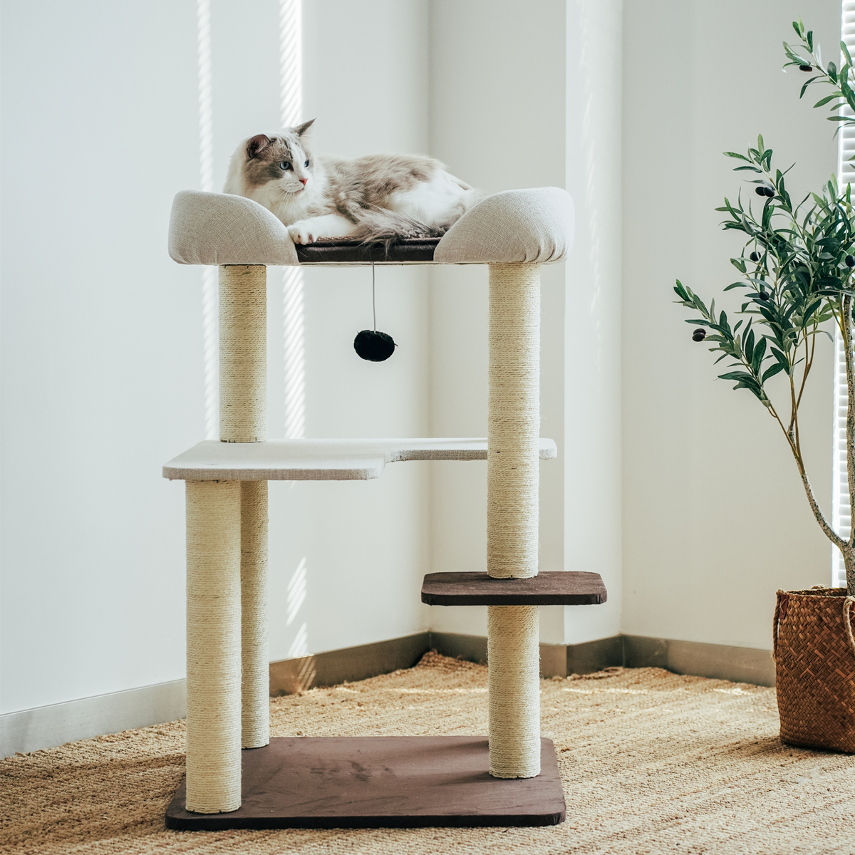 梅子猫猫爬架布偶缅因肥猫大窝