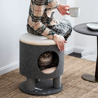 Человеческие кошки обмениваются!Кошачья гнездо кошачья кошка
