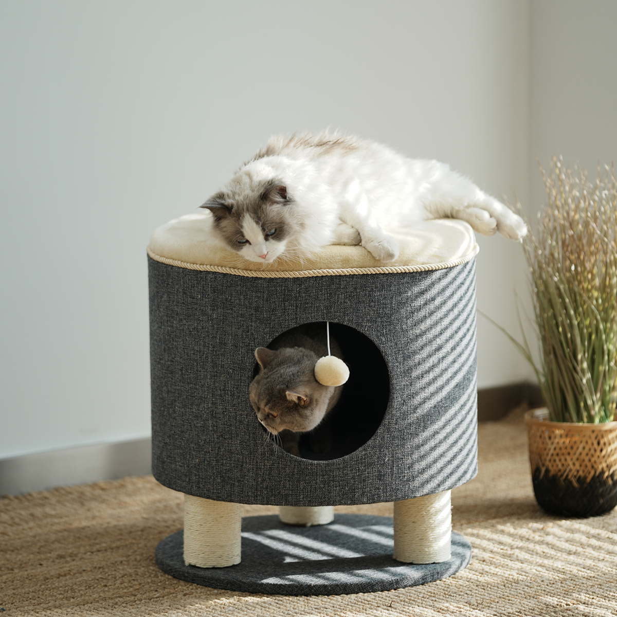 缅因猫布偶猫肥猫猫爬架大号