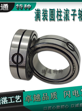 双列圆柱满滚子轴承内燃机 SL014918 SL014920 SL014922 SL014924