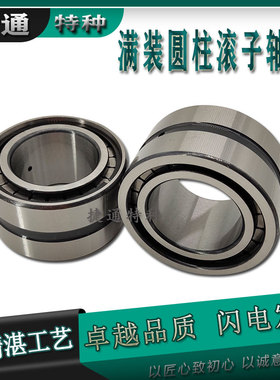 双列满装圆柱滚子轴承NNCF5004/5005/5006/5007/5008/5009/5010CV
