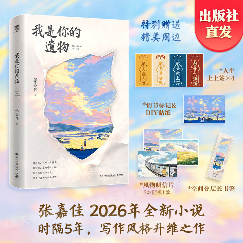 【官方正版】我是你的遗物 张嘉佳 从你的全世界路过 云边有个小卖部 天堂旅行团 时隔5年张嘉佳2026全新小说 博集天卷