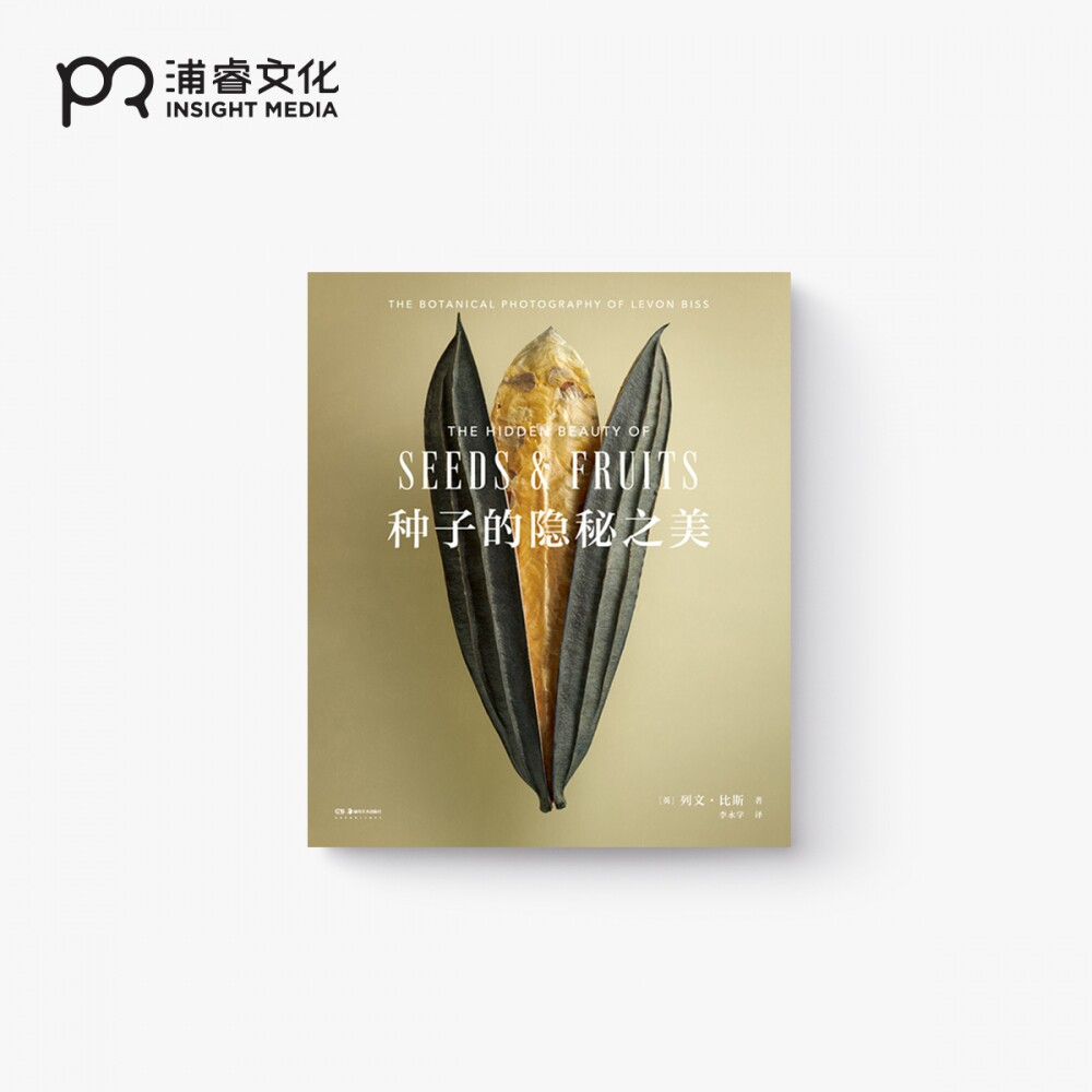 精装浦睿文化艺术摄影