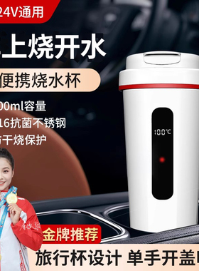 车载烧水杯2025新款12v24v车用家用便携旅行杯316电热壶USB加热杯