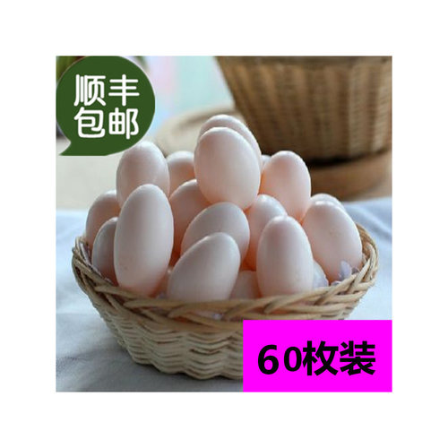 农家散养新鲜鸽子蛋土破碎包赔