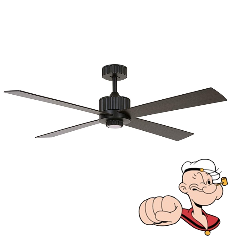 澳洲后现代风实木咖啡厅吊扇灯