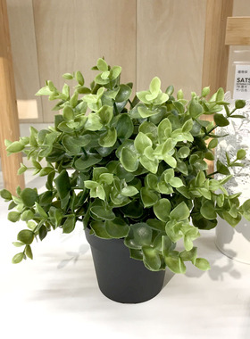 宜家 菲卡 人造盆栽植物 仿真盆景盆栽 绿植 牛至 百里香 迷迭香