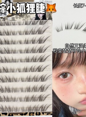 免胶黑棕小狐狸斜飞睫 狐系假睫毛自然韩系女上镜款自然拉长眼尾