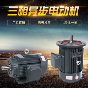 【热卖】三相异步电动机  电机  立式/卧式 三相电 全铜国标