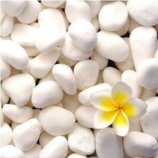 花盆装饰品 白色小石子 白色雨花石 水培植物介质  园艺用品100克|msdalam kategori penghantaran bunga/bunga simulasi/tumbuhan berkebun, Gardening Supplies, Peralatan Perkebunan lain - dari Buy2taobao.com untuk memberikan perkhidmatan ejen Taobao profesional membeli